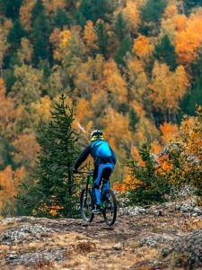 MTB02.1.jpg