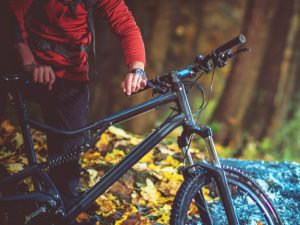 MTB04.jpg